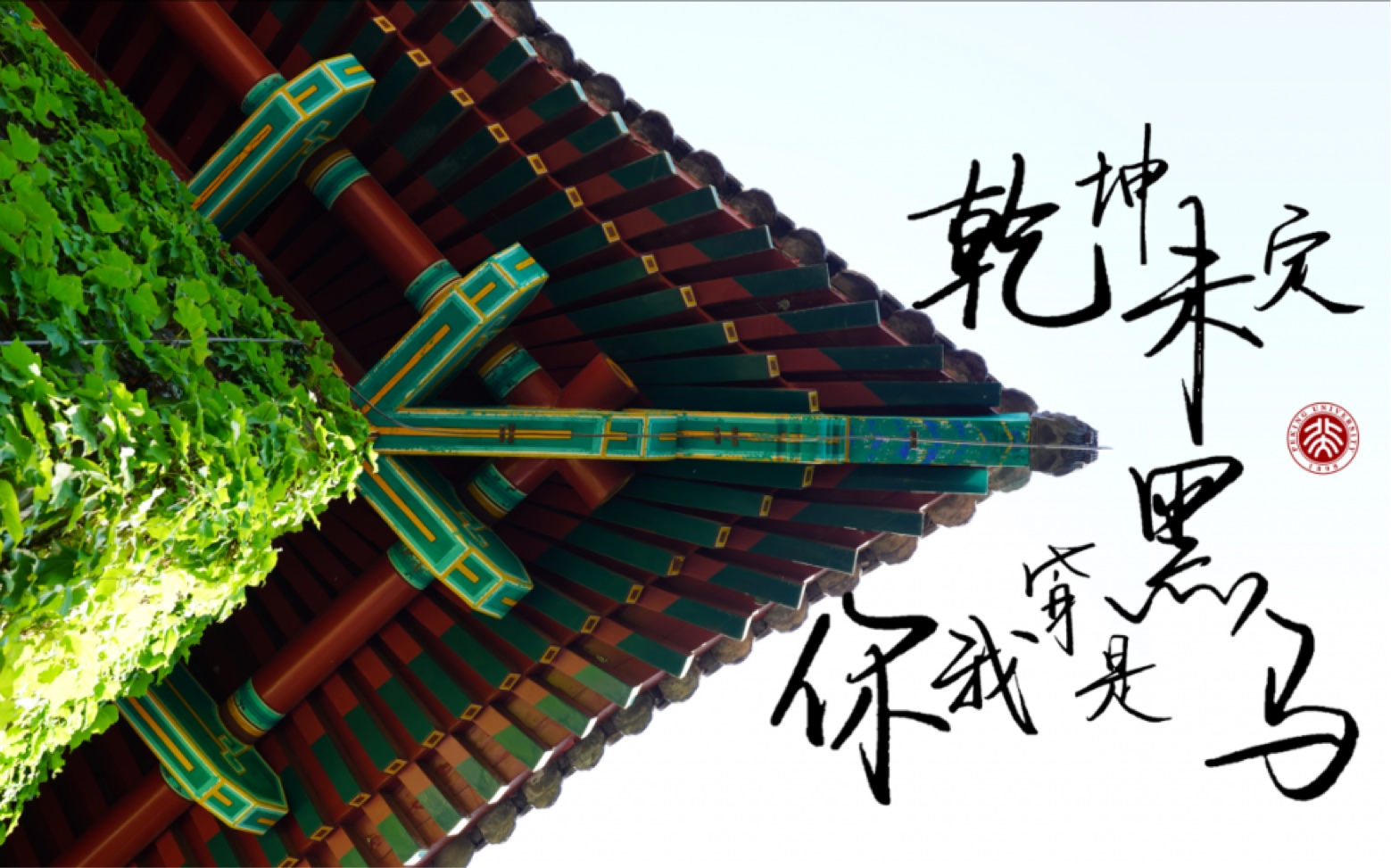 北大励志强基计划宣传片助力2020高考