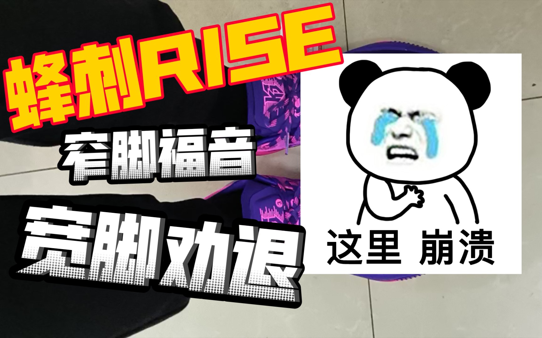 蜂刺RISE哔哩哔哩bilibili