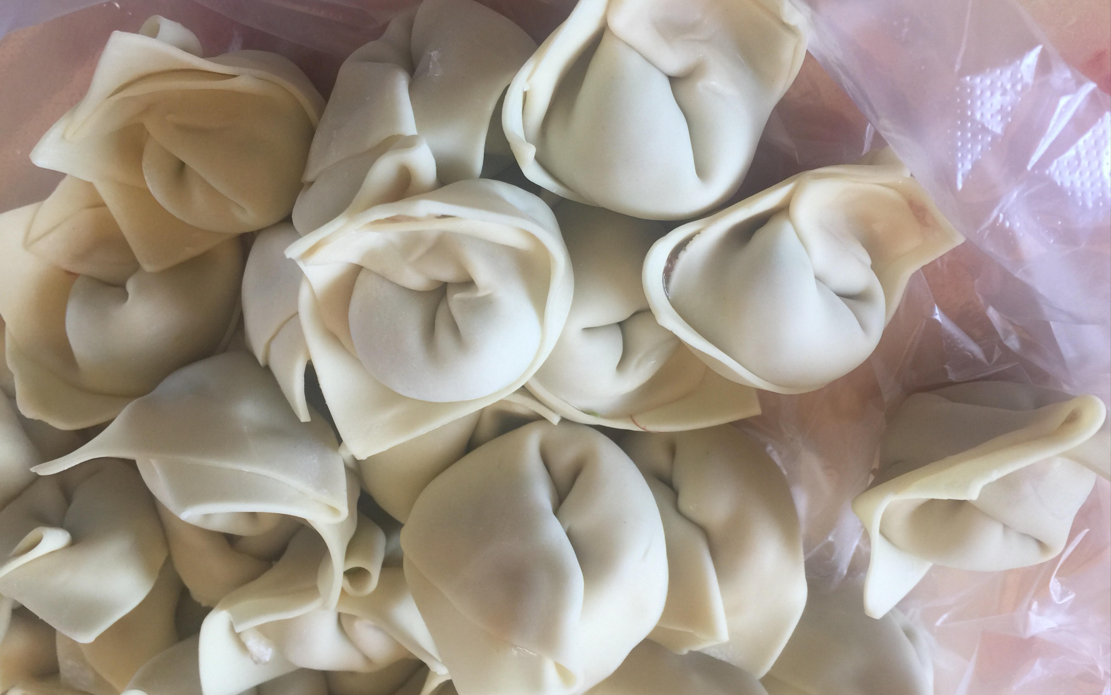 普通又不普通的饺子