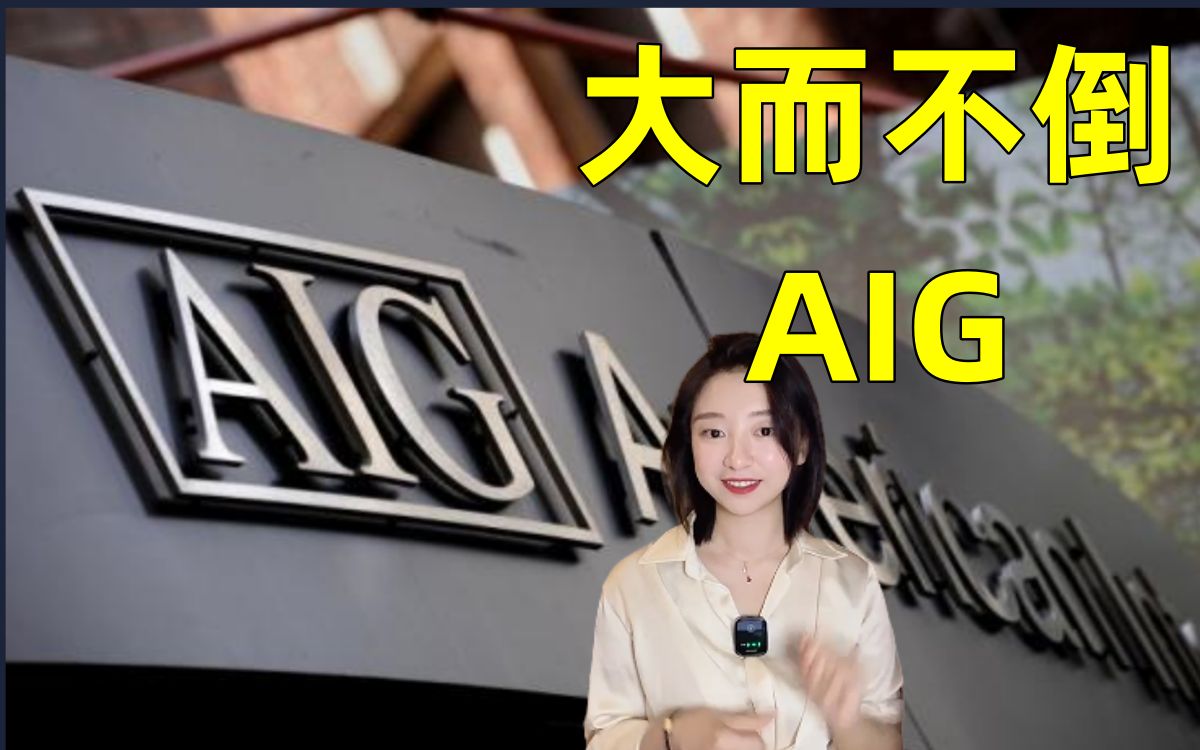 【真正的大而不能倒——AIG】究竟大到什么程度,才能做到真正的大而不能倒,恒大真的不能倒吗哔哩哔哩bilibili