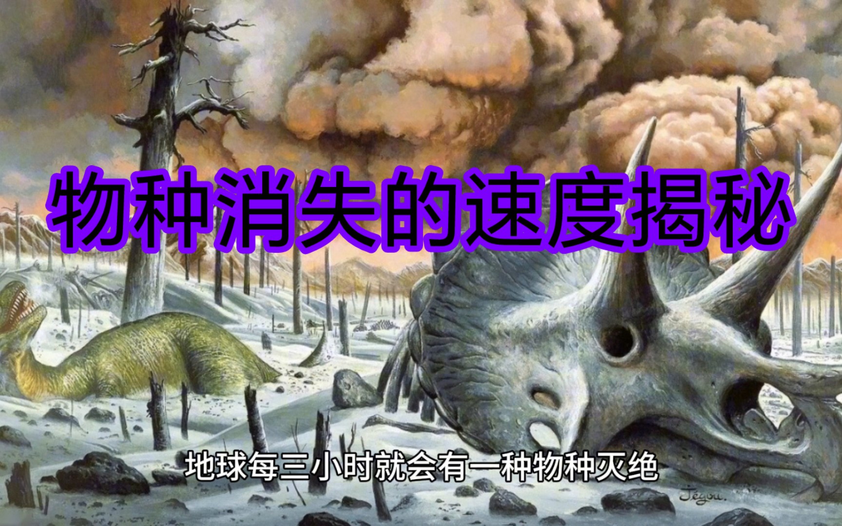 [图]物种消失的速度揭秘