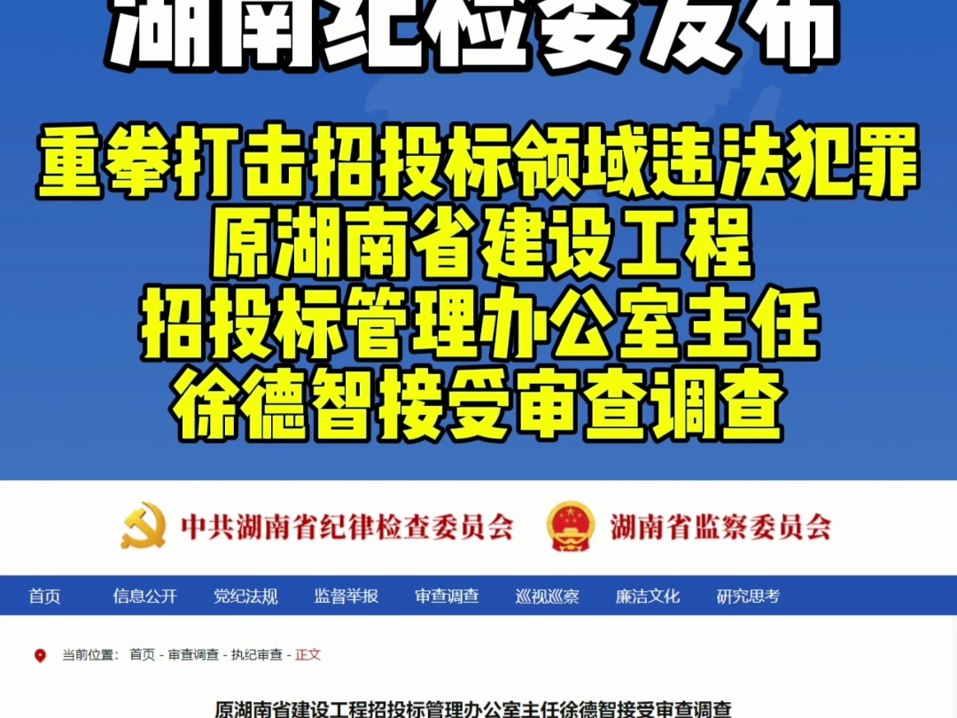 重拳打击招投标领域违法犯罪,原湖南省建设工程招投标管理办公室主任徐德智接受审查调查哔哩哔哩bilibili