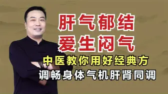 Download Video: 肝气郁结爱生闷气？中医教你用好经典方，调畅身体气机肝肾同调！邹勇巧解伤寒论！