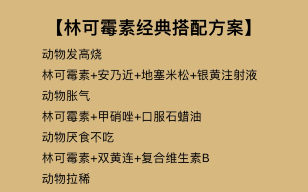 林可霉素在畜禽养殖中的联合用药方案哔哩哔哩bilibili