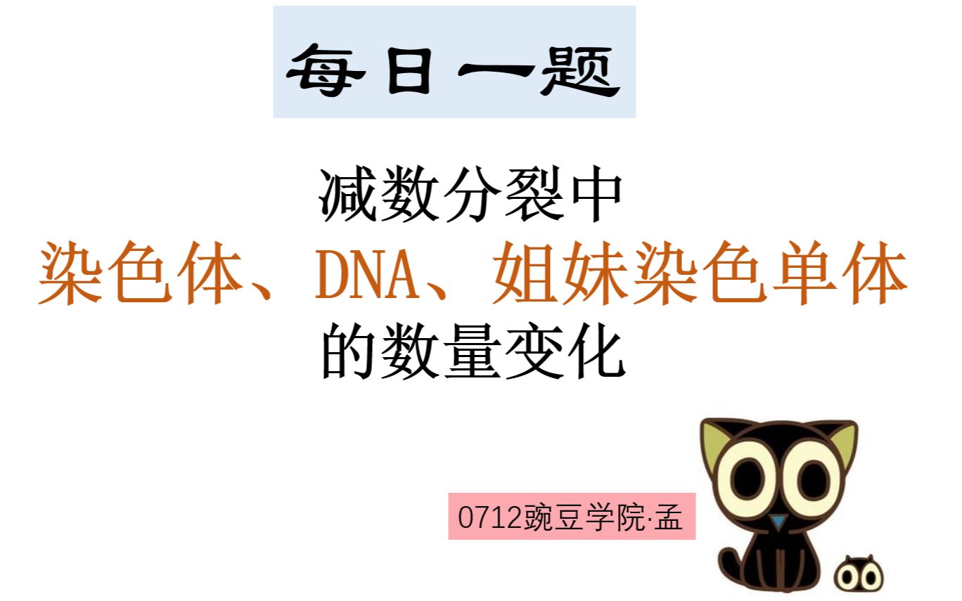 【高中生物 每日一题】0712减数分裂中DNA、染色体、姐妹染色单体数量变化辨析哔哩哔哩bilibili