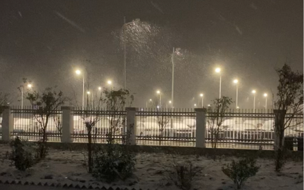 已经十几年没下过雪的台州突然下雪