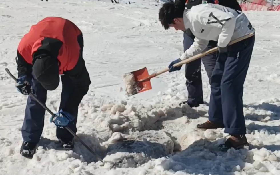 雪道里夏天种的小石头已经可以收获了!哔哩哔哩bilibili