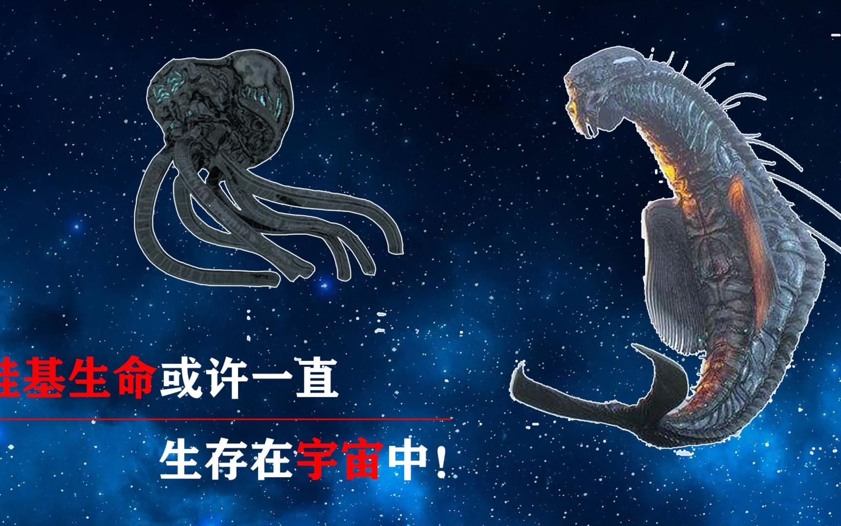 硅基生命可能一直生存在宇宙中, 比人类要强大, 寿命超百万年!