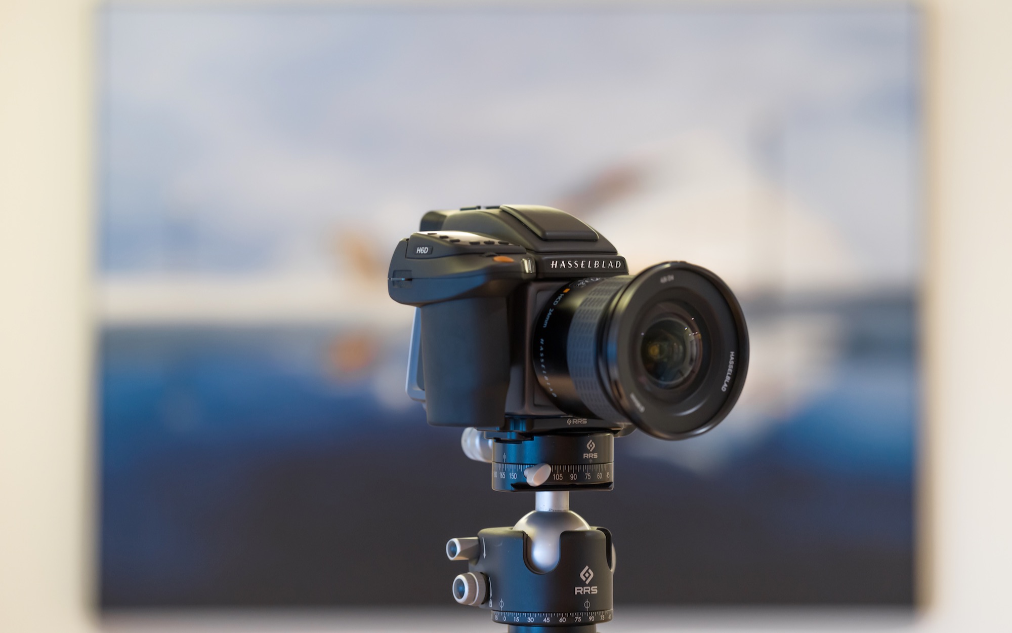 【玖日 the 9th】哈苏 h6d-100c 轻体验 by 捌月玖日未央