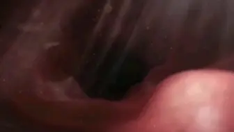 日本性教育动画