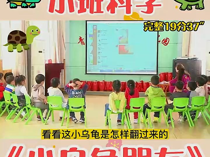 幼兒園小班科學公開課《小烏龜朋友》幼兒園小班公開課#幼兒園公開課