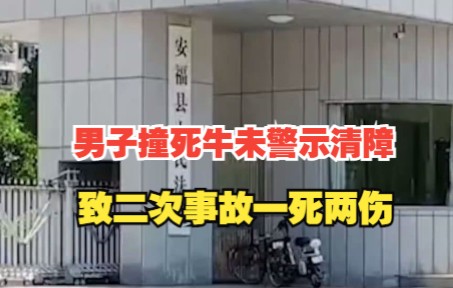 男子撞死牛未警示清障致二次事故一死两伤 法院:赔偿20万哔哩哔哩bilibili