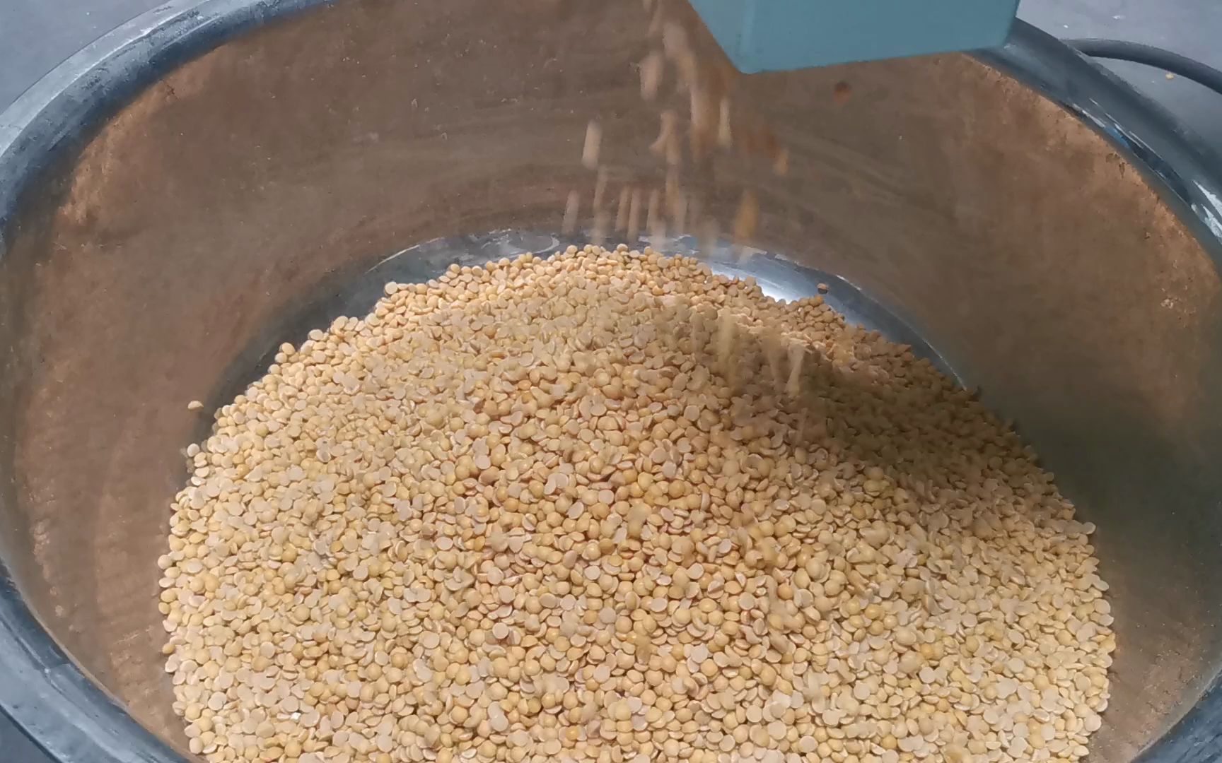 全自动 大豆脱皮机,大豆去皮机,黄豆脱皮去皮机