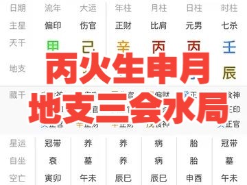 八字丙火生申月,地支三合水局!哔哩哔哩bilibili