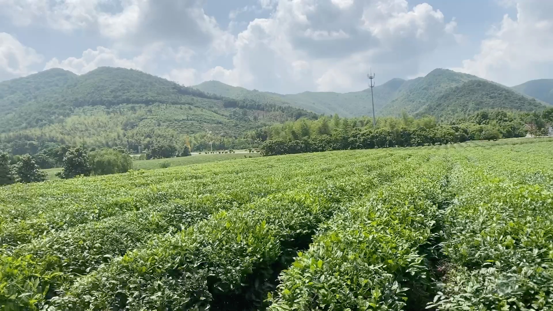 惬意的周末时光 宜兴龙池山公园哔哩哔哩bilibili