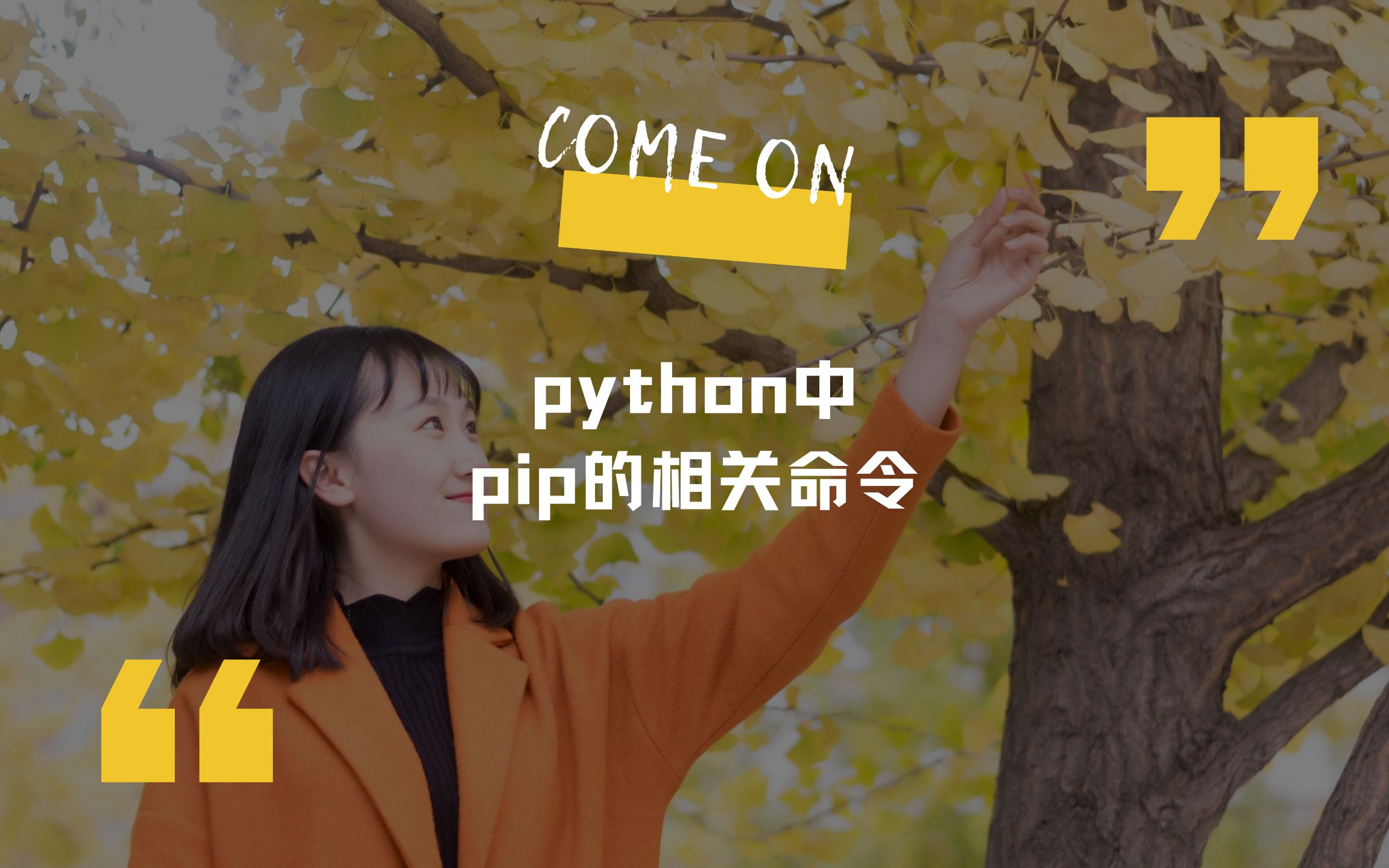 python中的相关pip命令哔哩哔哩bilibili