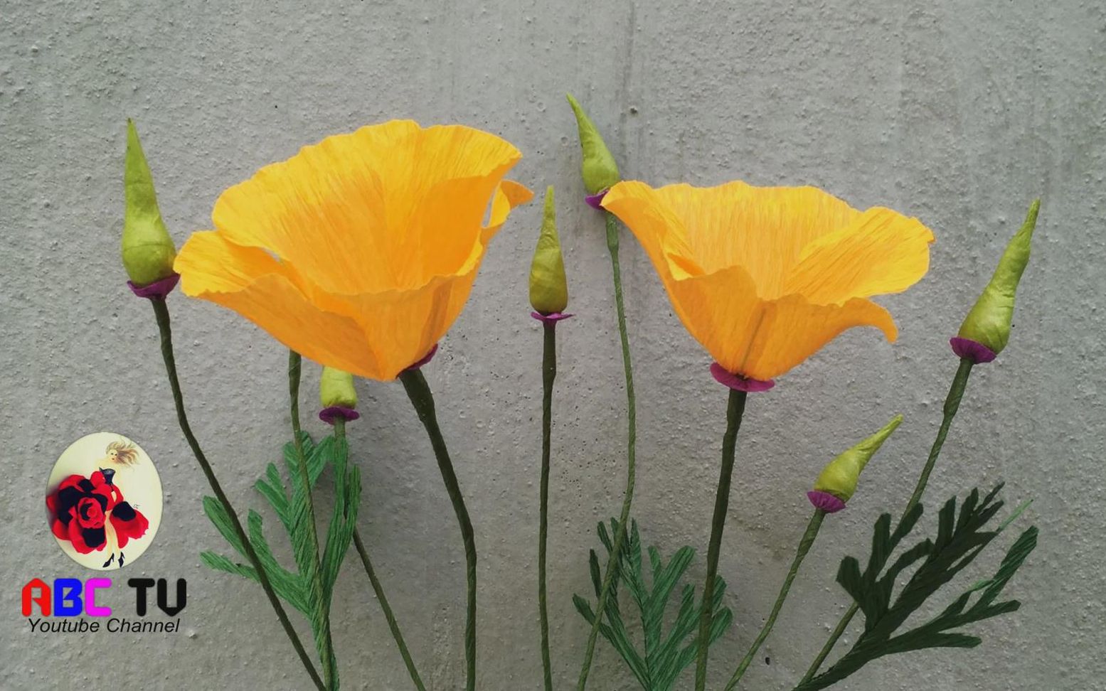 abctv皱纹纸花艺加州罂粟花