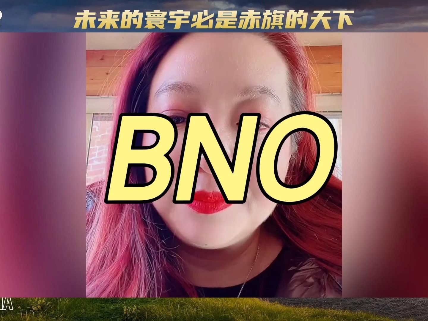 BNO护照就是呆英故意恶心我们的,港杂就是一群蛆虫哔哩哔哩bilibili