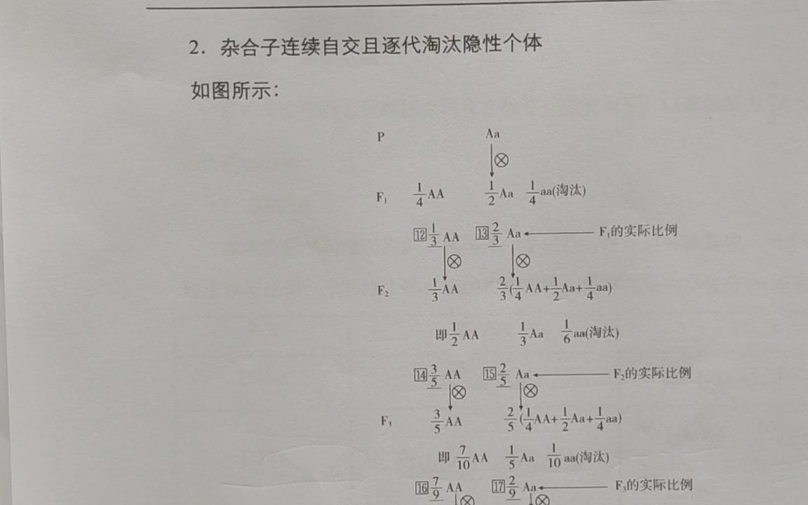 杂合子自交的相关规律2:杂合子连续自交且逐代淘汰隐性个体哔哩哔哩bilibili