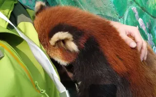 演技练习 搜索结果 哔哩哔哩 Bilibili