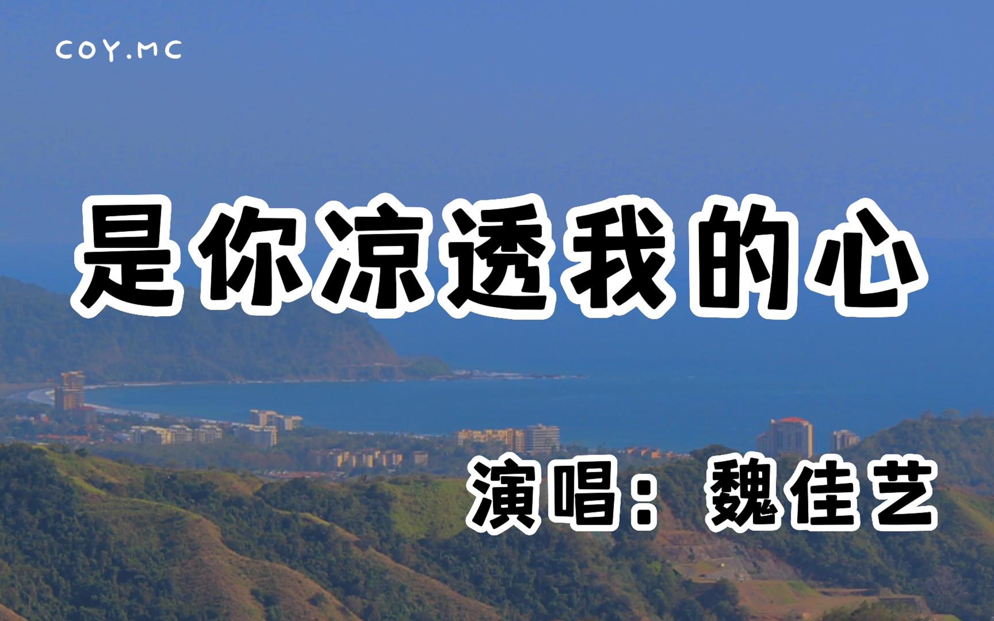 [图]魏佳艺 － 是你凉透我的心『别解释什么我都不想听 这颗爱你的心早已结冰』（动态歌词/Lyrics Video/无损音质/4k）