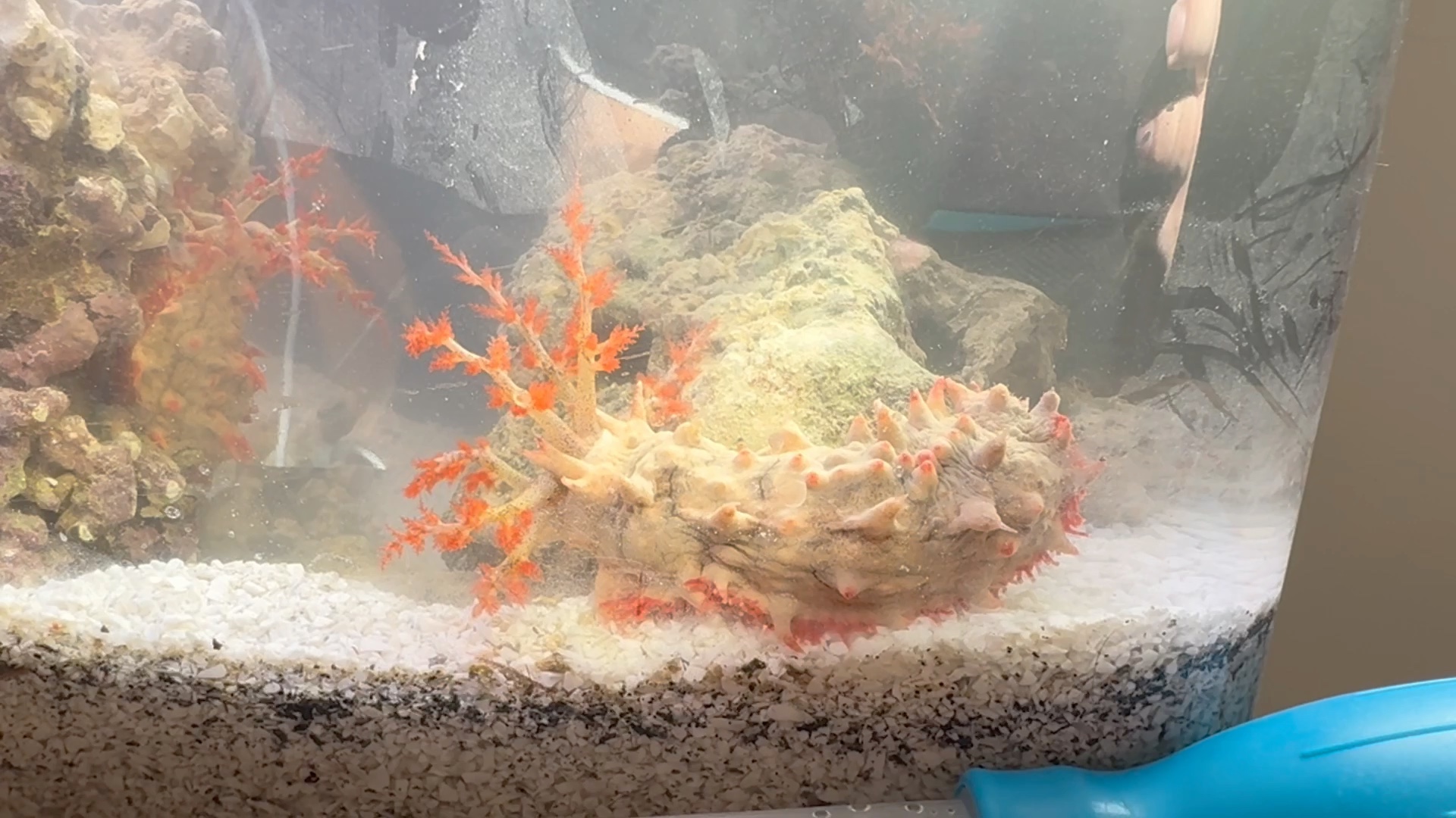 深海里的克苏鲁触手怪