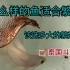 泰国斗鱼繁殖入门-选择亲鱼和繁殖盒