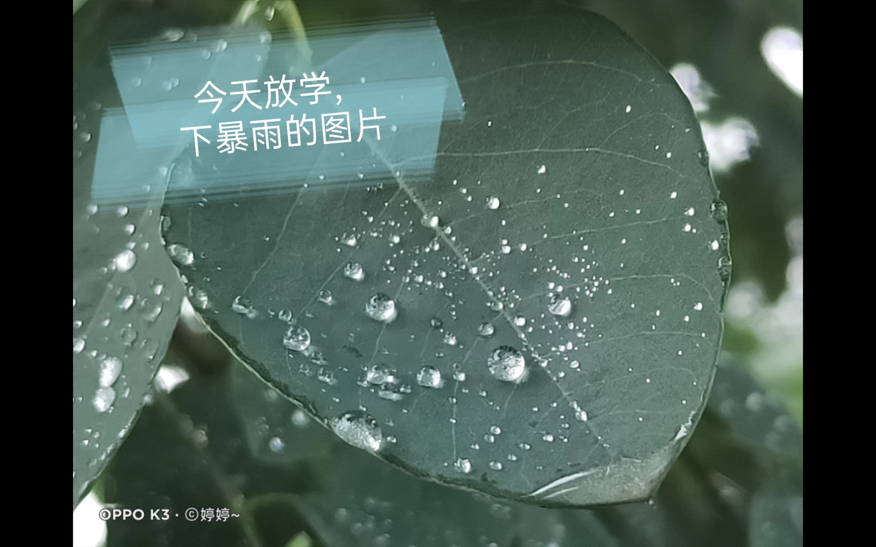 天放学,下暴雨的时候拍的图片哔哩哔哩bilibili