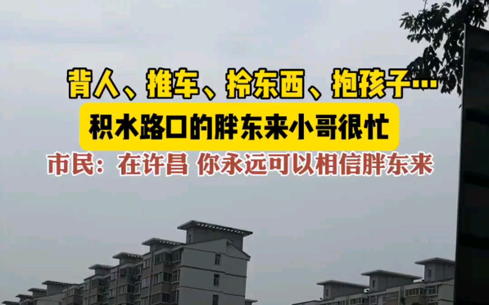 背人、推车、拎东西、抱孩子……积水路口的胖东来小哥很忙.市民:在许昌,你永远可以相信胖东来.#积水 #胖东来哔哩哔哩bilibili