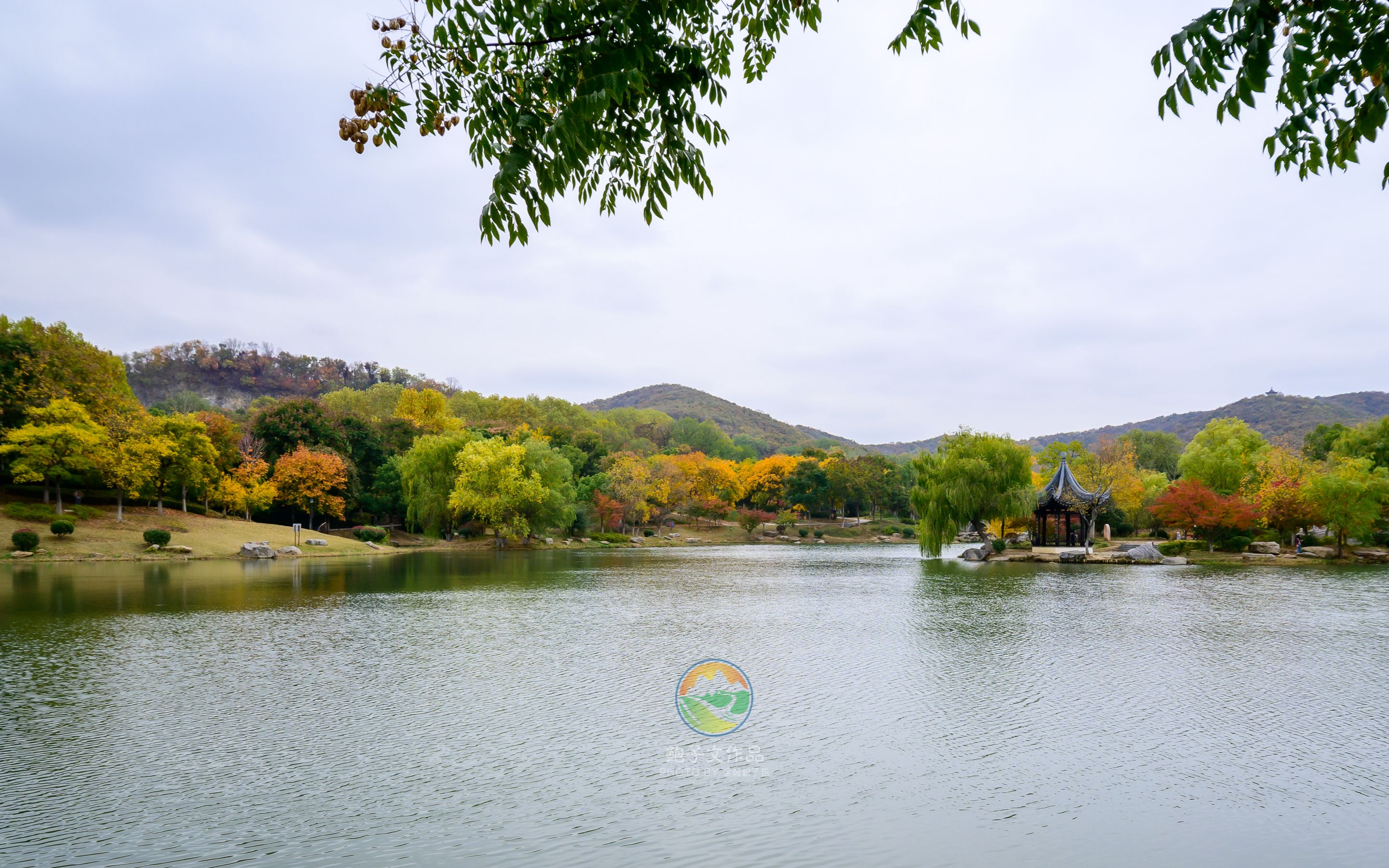 鎮江市區有座山,王安石筆下的