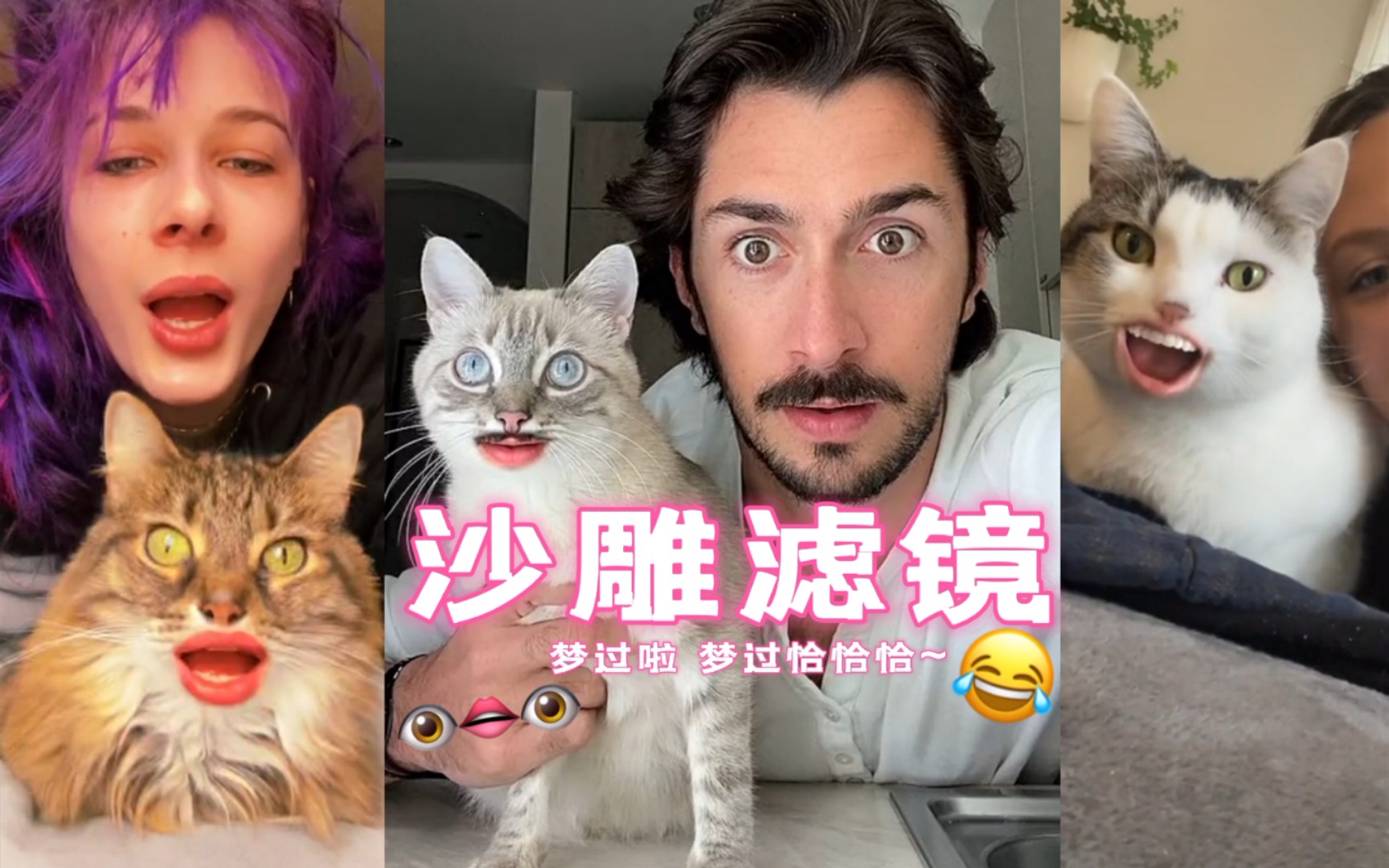 [图]Cats be like: 👁️👄👁️ 梦过啦 梦过恰恰恰~