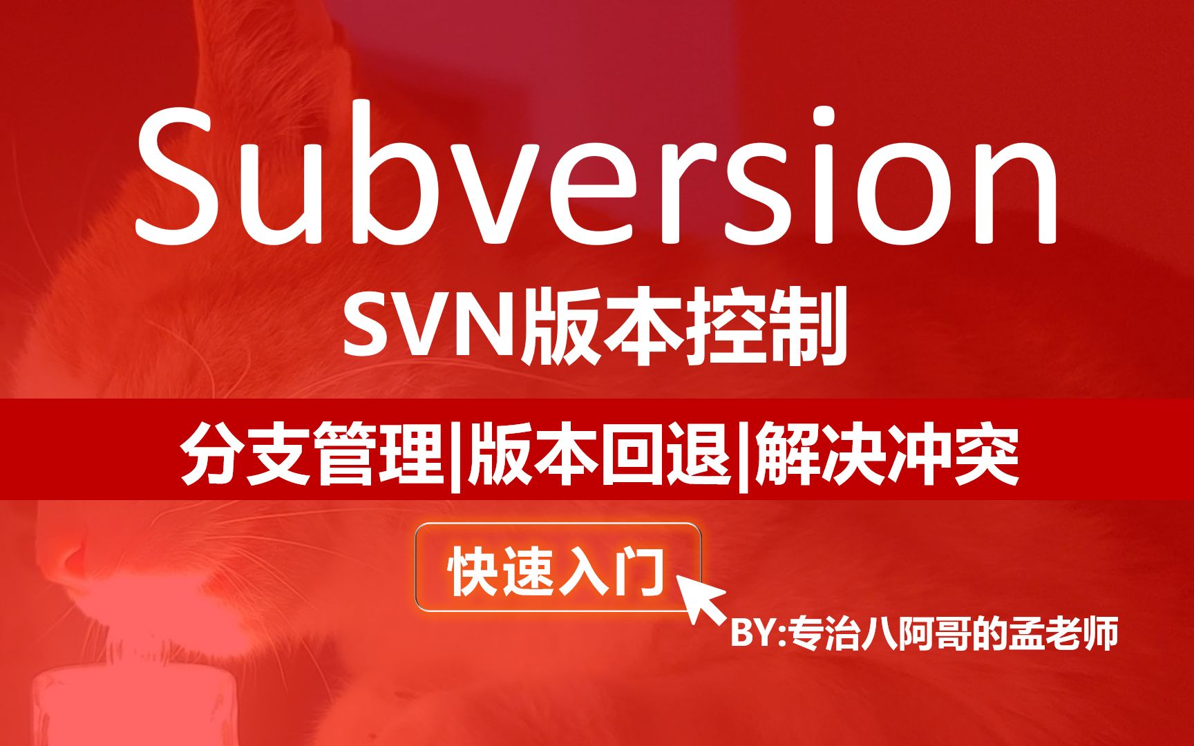 【SVN】Subversion详细入门教程 快速入门哔哩哔哩bilibili