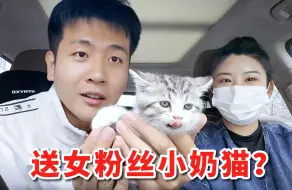 Download Video: 开车去给女粉丝送猫，没想到她给我带了特产，还要请我吃饭？