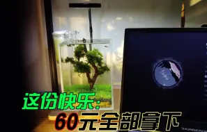 Download Video: 60元的草缸快拿走，已经帮你们种草四个月了