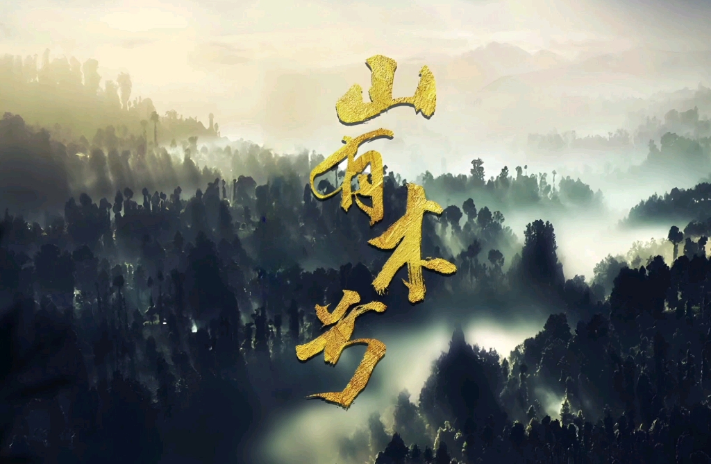 【山有木兮广播剧】今日何日兮,搴舟中流 | 谁懂,真的好喜欢山有木兮