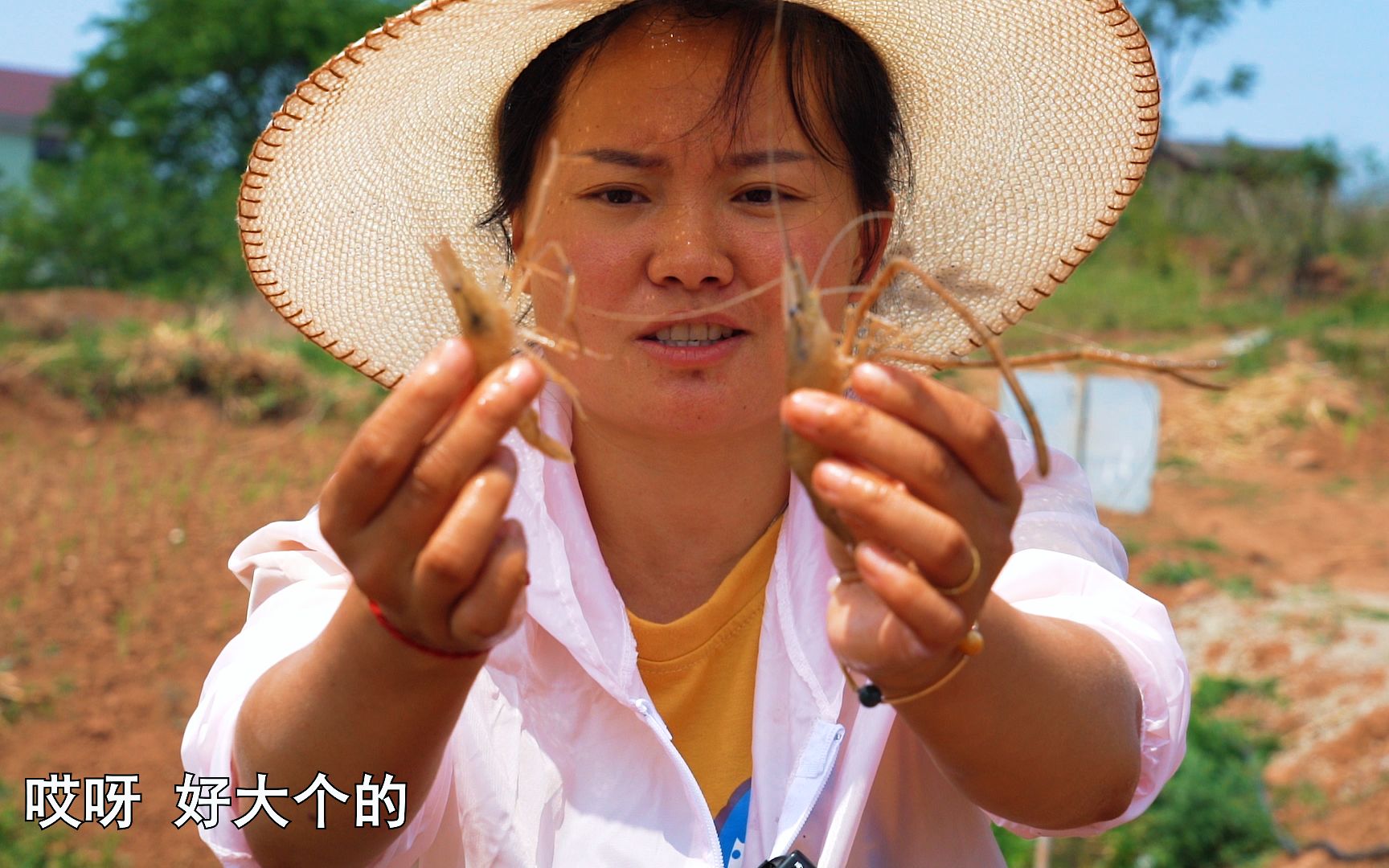 阿波在池塘里放几个地笼,收获满满,回家做一道香辣河虾,焦香酥脆,真解馋哔哩哔哩bilibili