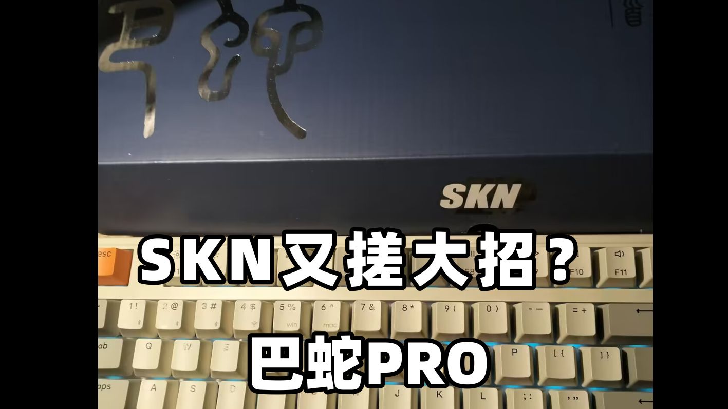 【外设体验】skn巴蛇pro——skn又搓大招?哔哩哔哩bilibili