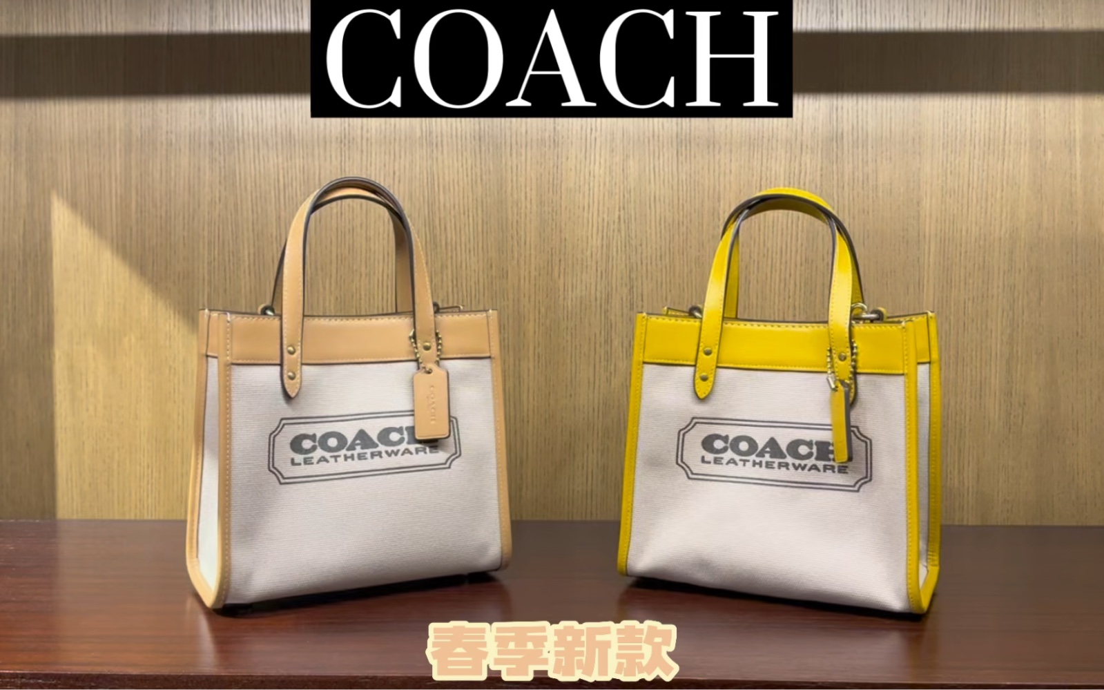 Coach 托特包22 春夏新色哔哩哔哩bilibili