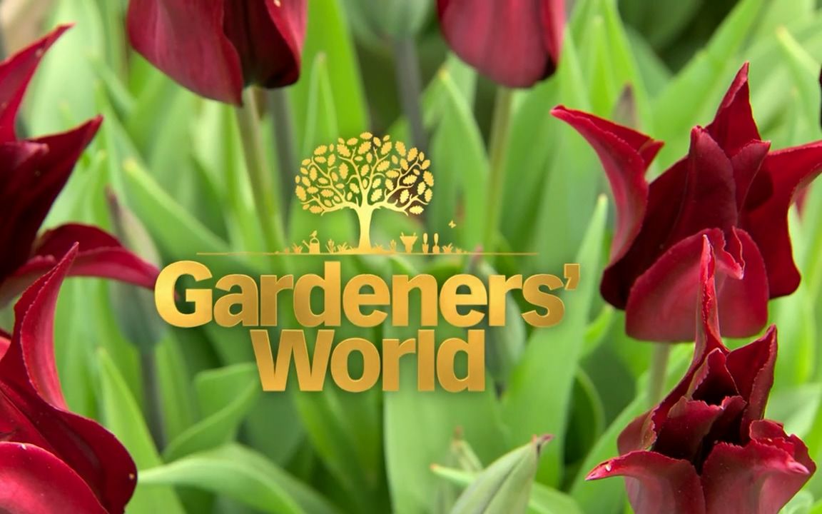 园艺世界 Gardeners.World.S56E07英文字幕哔哩哔哩bilibili