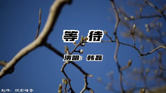 韩磊《等待》