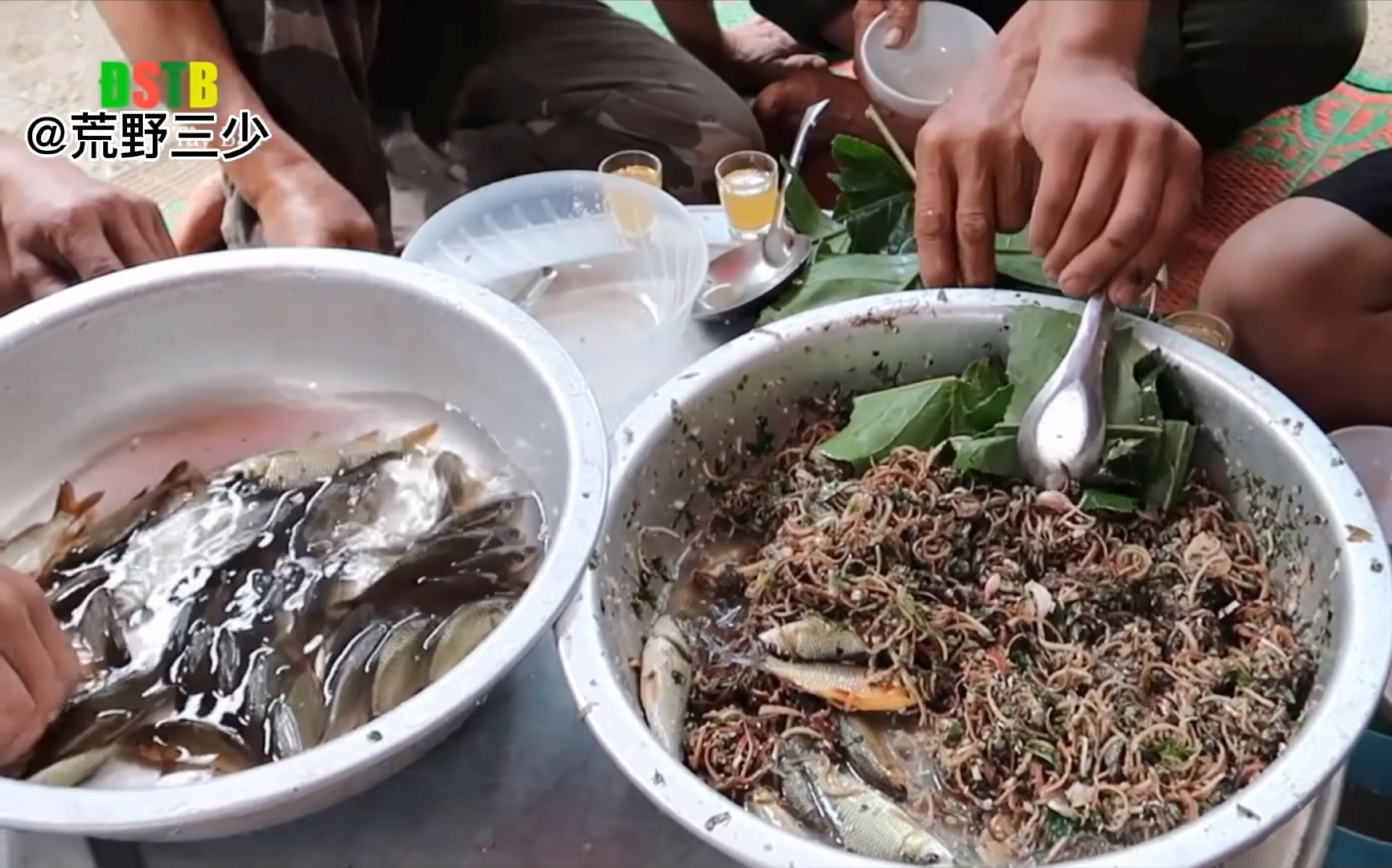 越南小伙就是狠,生吃活鱼!_哔哩哔哩_bilibili