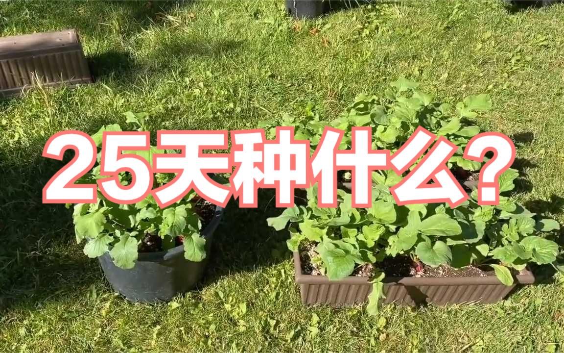 [图]去哪里买种子？买菜苗？买有机肥料？带你一起来逛逛。