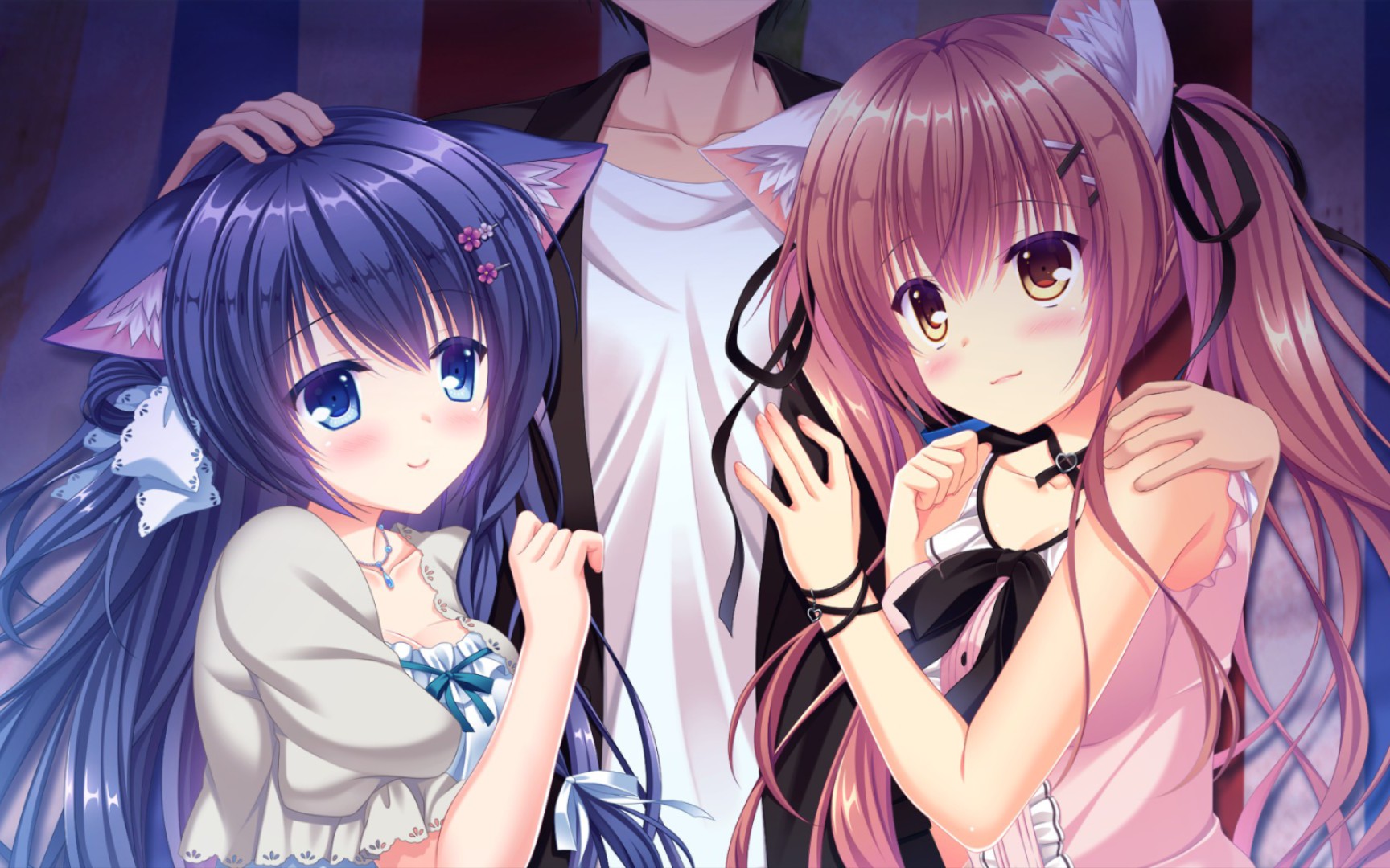 【pc/galgame/后宫向】猫忍之心1~3 外传