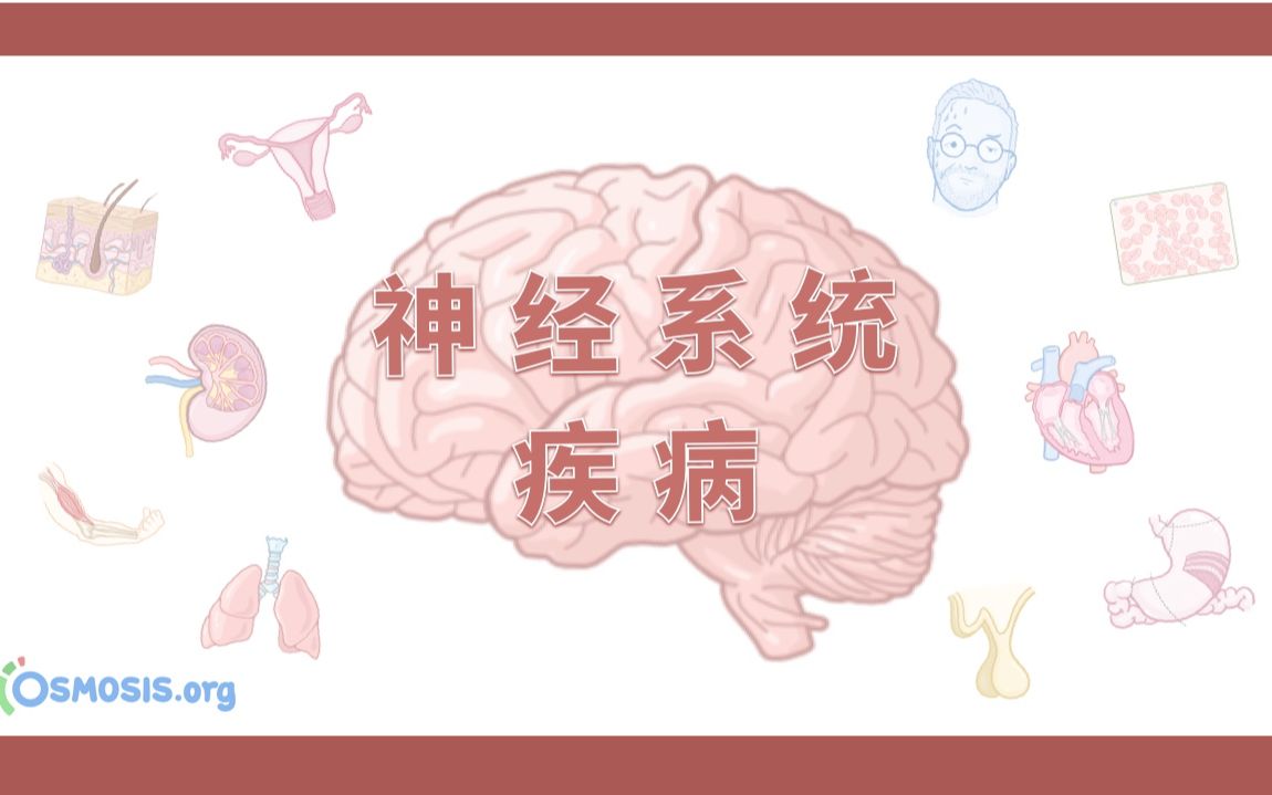 【Osmosis合集】神经系统疾病(更至18P|中英)哔哩哔哩bilibili