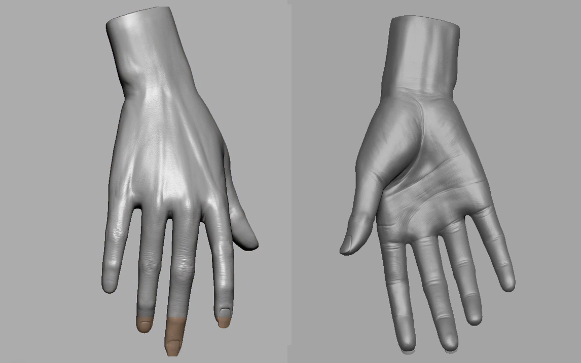 【zbrush新手教程】人物手部皮肤纹理结构zb雕刻技巧演示——女性手部