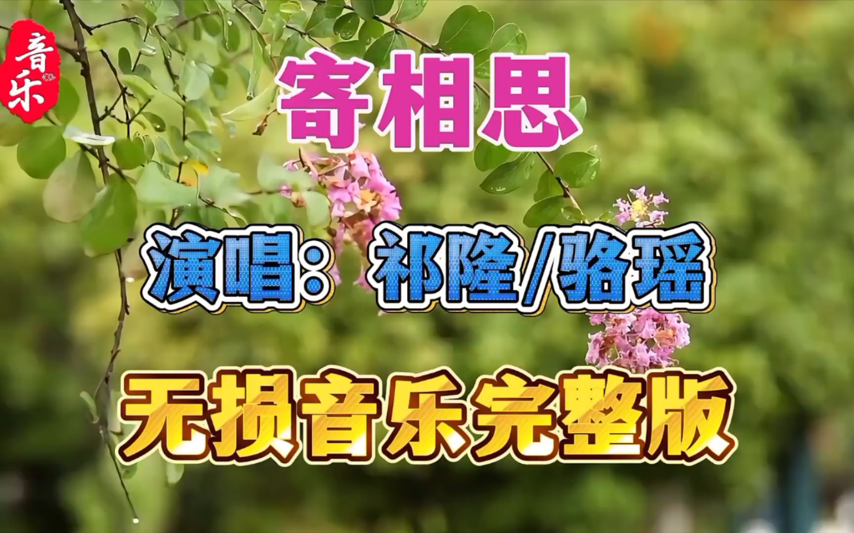 祁隆老师最新作品《寄相思》旋律优美,百听不厌哔哩哔哩bilibili