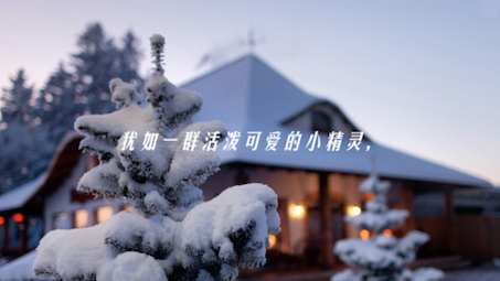 大雪浪漫文案(4)哔哩哔哩bilibili