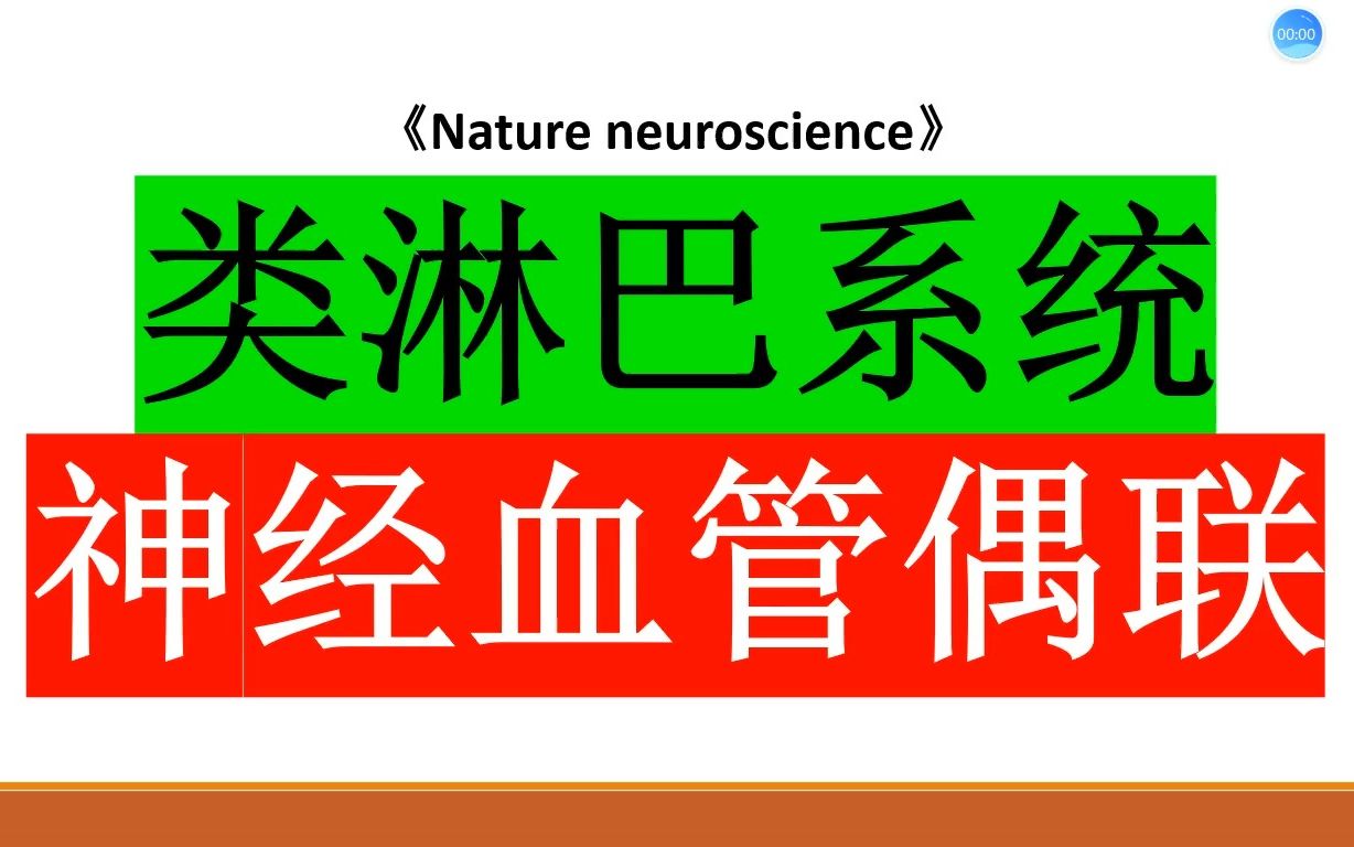 Nature neurosci—类淋巴系统研究突破:科学家揭示了类淋巴系统和神经元活动之间的潜在关系哔哩哔哩bilibili