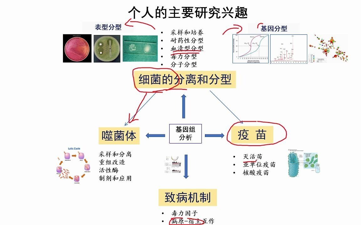 基于血清型分子分型及泛基因组分析的禽致病性大肠杆菌疫苗研究哔哩哔哩bilibili