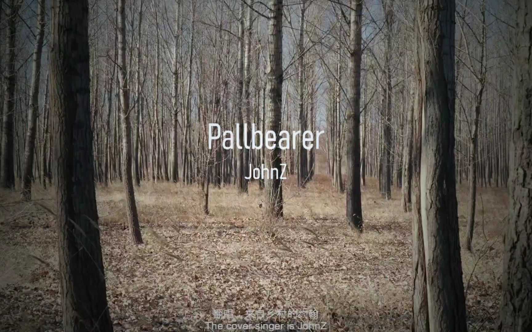 翻唱pallbearer,乡村小伙子的乡村献礼,原唱乔什特纳